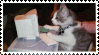 cat coding